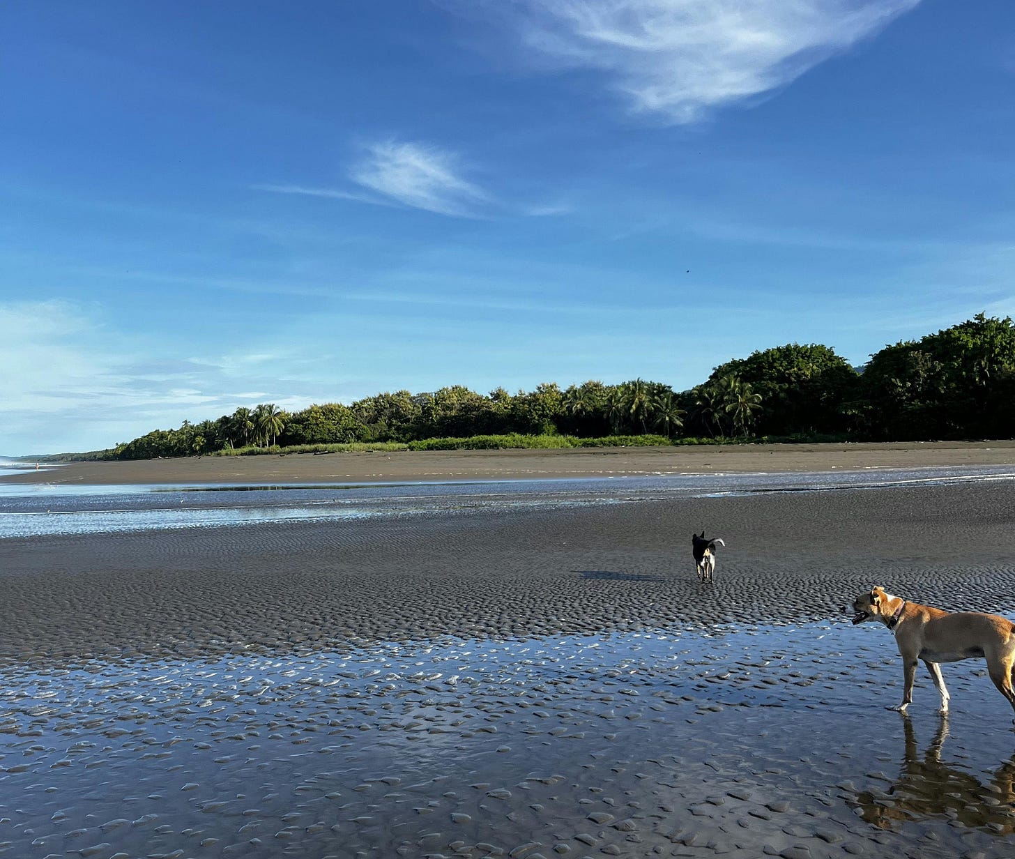 037: Loving What You Have, Having What You Love! 037: Loving What You Have, Having What You Love!