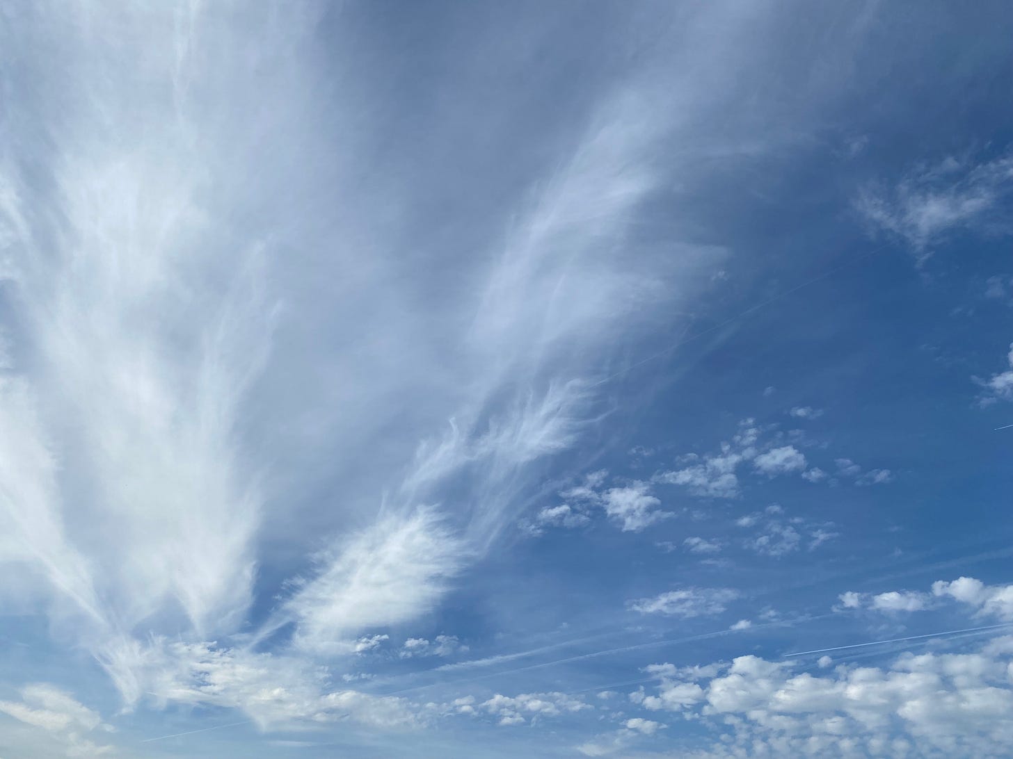 A vivid blue sky with feathery wisps of cloud.