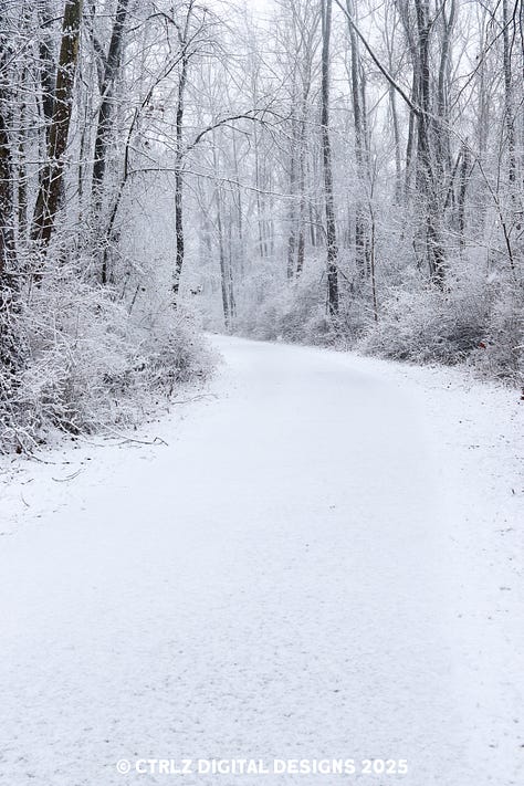 A collection of 9 images celebrating winter with deer, ducks, eagles, squirrels, and other scenic images