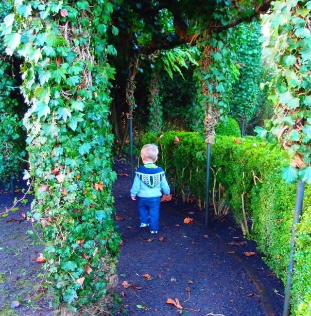 Embraced by Jesus: our precious hope