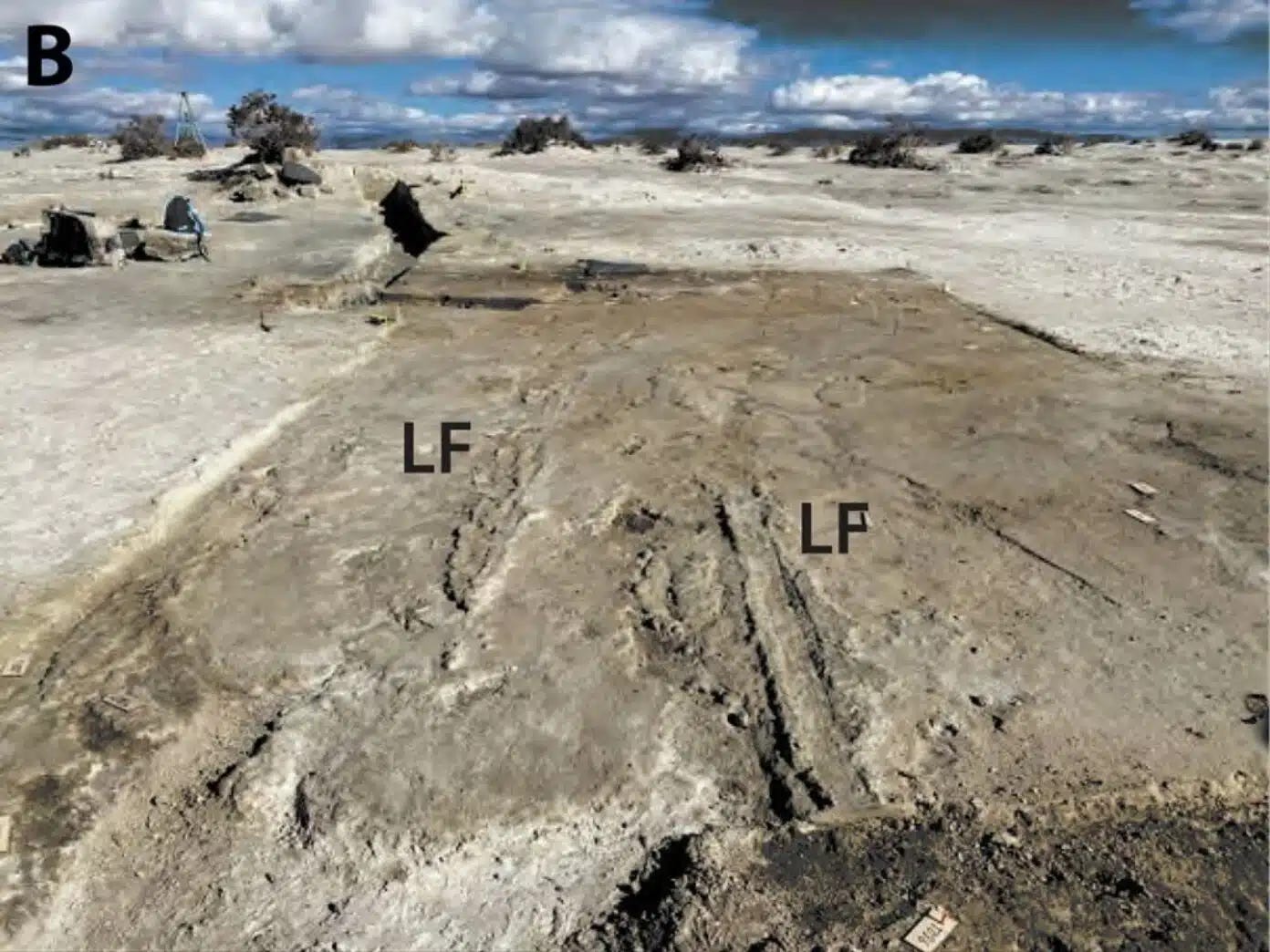 Parallel drag marks (LF) on footprint horizon TH2 at White Sands National Park, interpreted as travois pulled by people more than 21,000 years ago. Short: Possible travois drag marks at White Sands. Credit: K.B. Springer, USGS, in Springer et al., Science Advances (2026) Parallel drag marks (LF) on footprint horizon TH2 at White Sands National Park, interpreted as travois pulled by people more than 21,000 years ago. Short: Possible travois drag marks at White Sands. Credit: K.B. Springer, USGS, in Springer et al., Science Advances (2026)