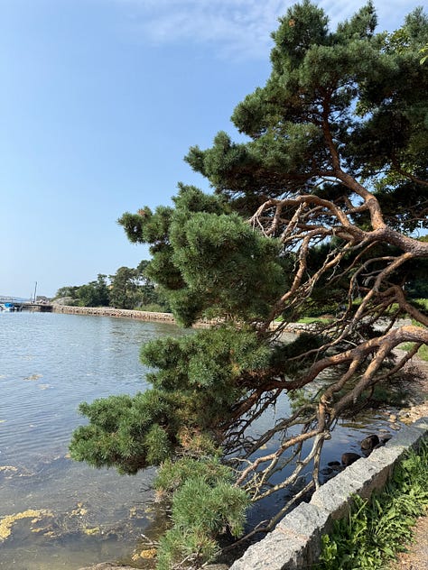 Images of the beach in sweden and few distant family members