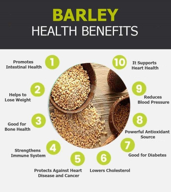 https://myhealthonly.net/wp-content/uploads/2020/04/barley-graphic-696x783.jpg?v=1587889520