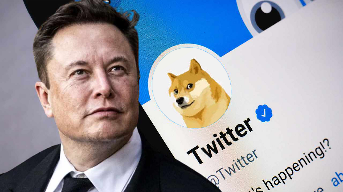 Why did Elon Musk change the Twitter logo to a Dogecoin cryptocurrency  meme? - Doha News | Qatar