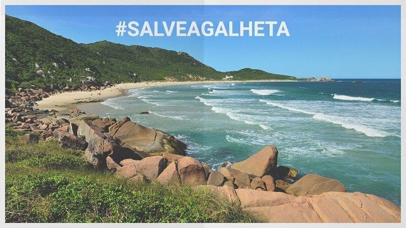 A wide view of Praia da Galheta on a bright, clear day. The shoreline curves between rocky outcrops and green hills, with waves rolling toward a long stretch of pale sand. The text “#SALVEAGALHETA” appears across the top of the image. A wide view of Praia da Galheta on a bright, clear day. The shoreline curves between rocky outcrops and green hills, with waves rolling toward a long stretch of pale sand. The text “#SALVEAGALHETA” appears across the top of the image.