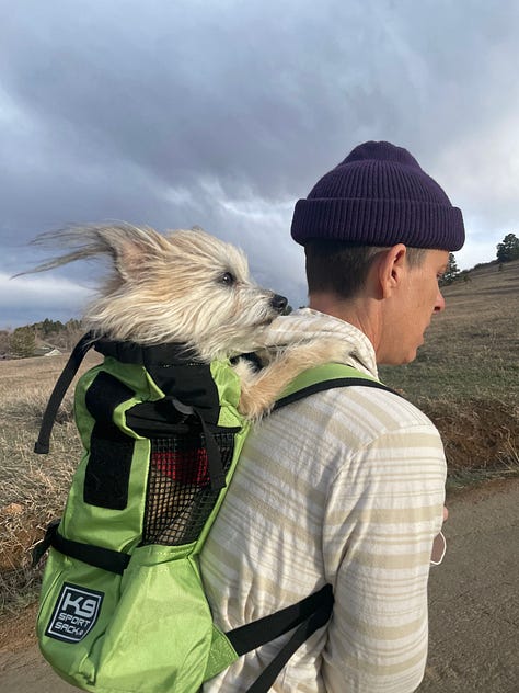 Photo 1: A small fluffy dog, Squash Gibson with windswept fur pokes its head out of a bright green dog backpack, enjoying the ride as Andrea Gibson in a striped shirt and purple beanie walks through an open landscape under a dramatic sky. Photo 2: Andrea Gibson in a gray hoodie and maroon beanie looks up at a small dog, Squash Gibson, in a red-and-white striped sweater sitting on a wooden fence, with trees softly blurred in the background. Photo 3: Andrea Gibson wearing a mustard yellow shirt holds a small scruffy dog. Squash Gibson, in a pink harness, kissing the dog’s face in a wide open field under a dramatic, partly cloudy blue sky.