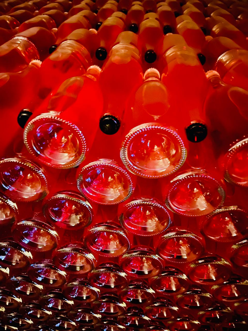 Wine bottles aging in a dark cellar — the opening image of The Vine wine education series at The Dinner Bell