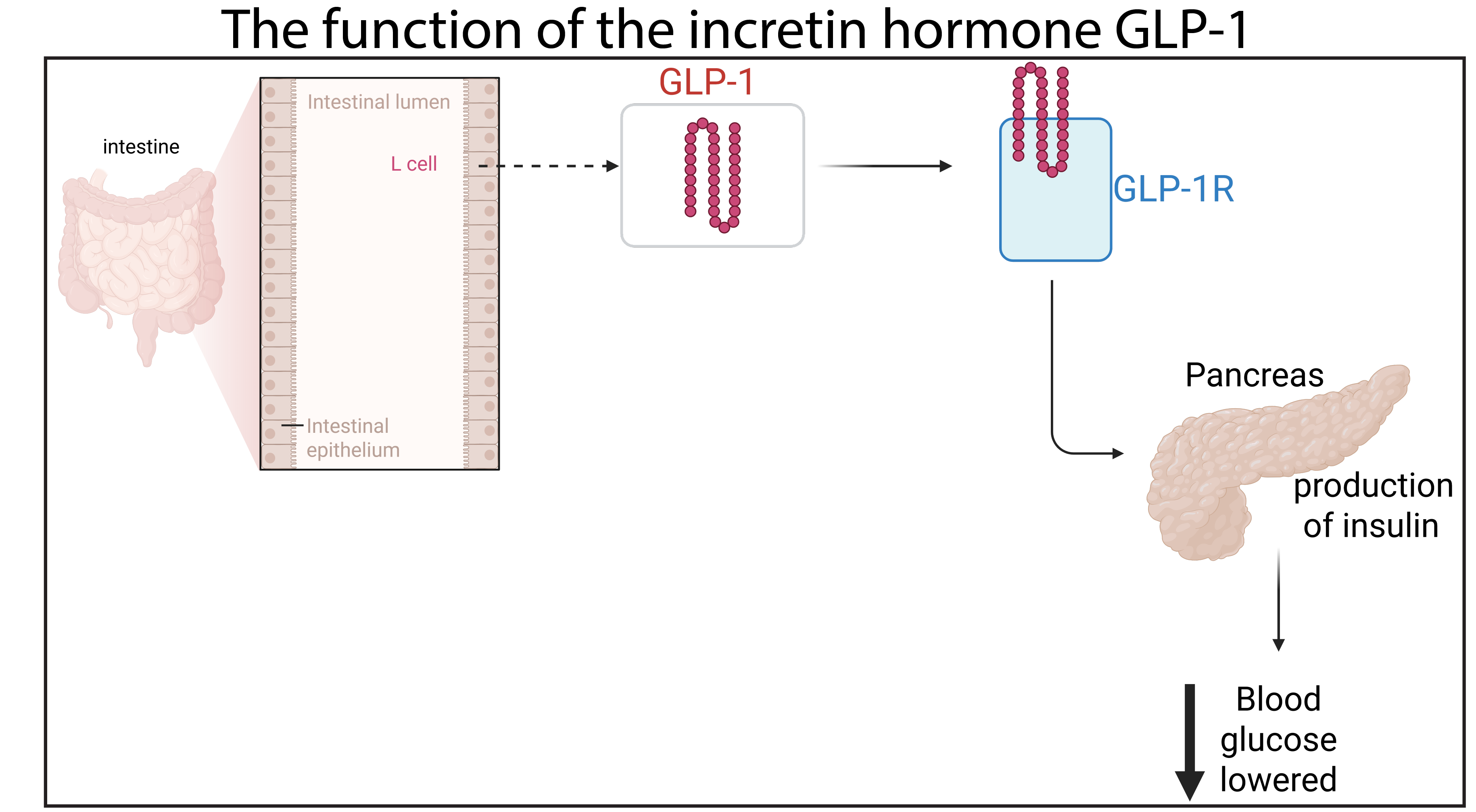 glp-1 receptor agonist drug names GLP-1 receptor agonists in the treatment of type 2 diabetes –  state-of-the-art