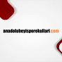 Ankara Basketbol Okulu's avatar