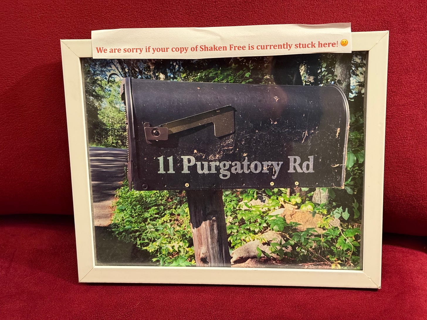 Photo of mailbox labeled "11 Pirgatory Road" and added caption of "We are sorry if your copy of Shaken Loose is stuck here."