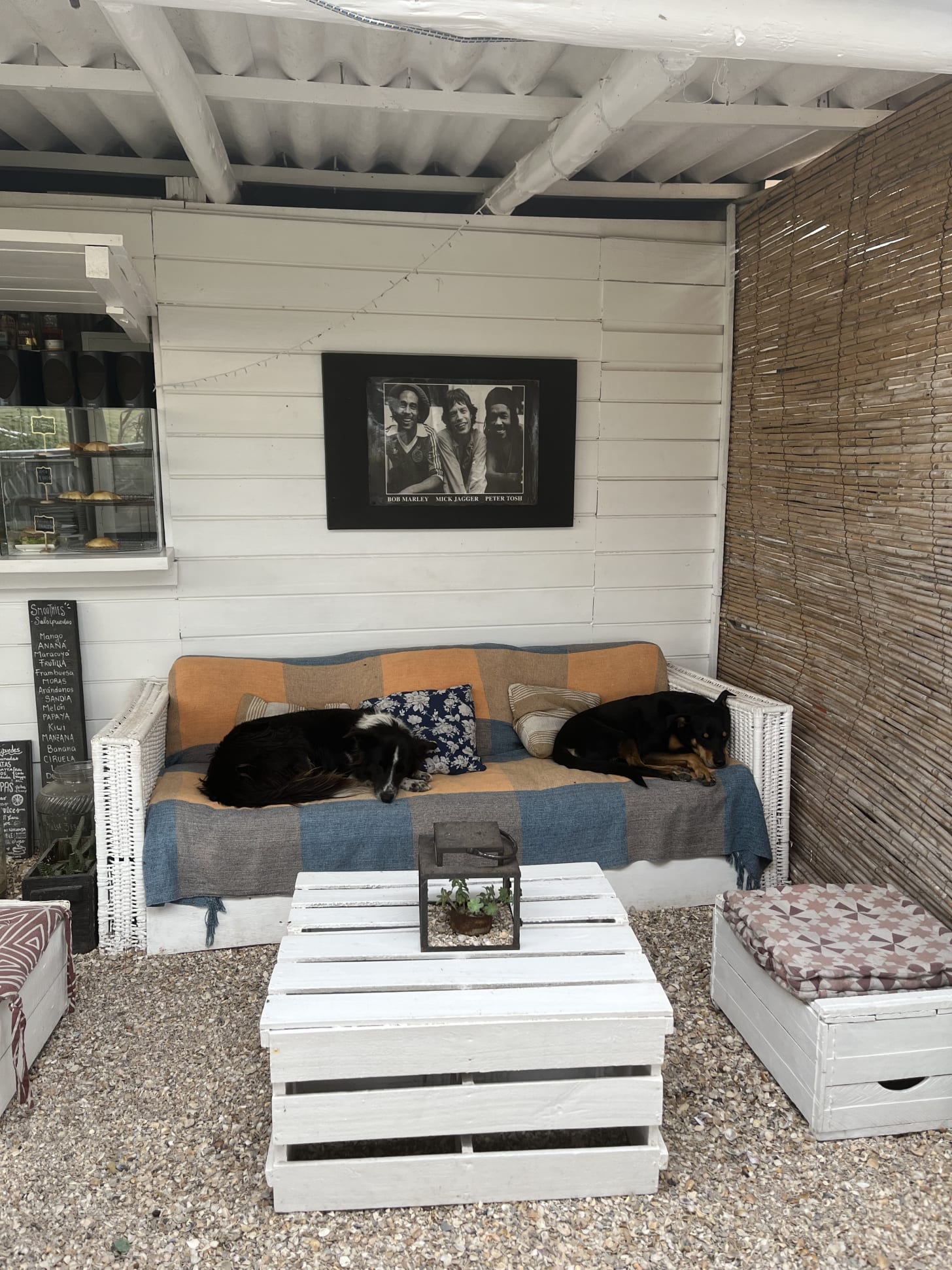 two black dogs laying on a couch in a bohemian cafe