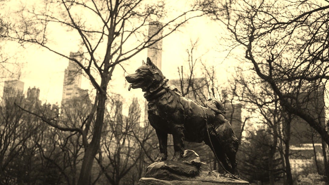 a statue of a dog in the middle of a park a statue of a dog in the middle of a park