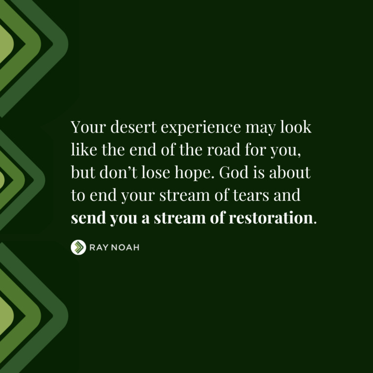 For Desert Dwellers - Ray Noah Blog