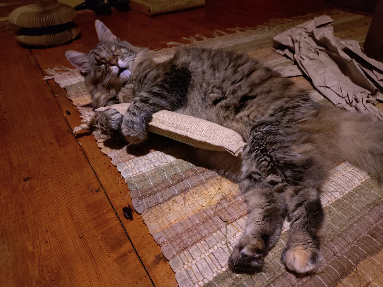 Rosie hugging a scratchy toy to her chest