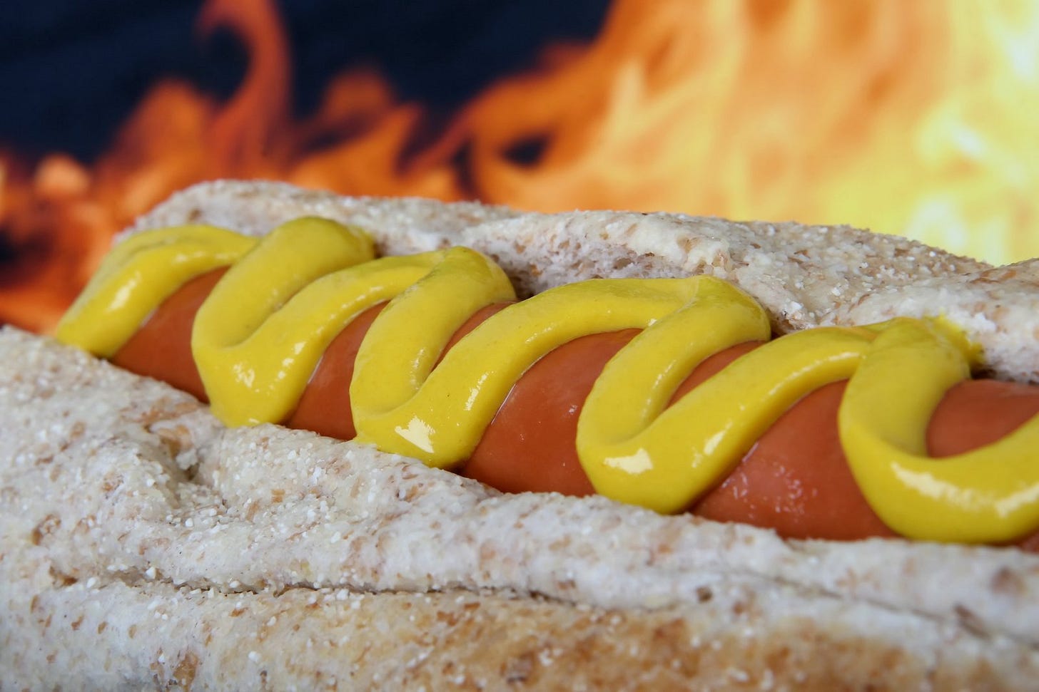 Hot dog with red sausage meat and mustard Free Photo Download | FreeImages Hot dog with red sausage meat and mustard Free Photo Download | FreeImages