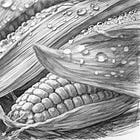Chapter 6: I Came All Over a Corn Cob while They Taught Me What "Bible Study" Meant to Them 