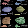 Anthropology.net