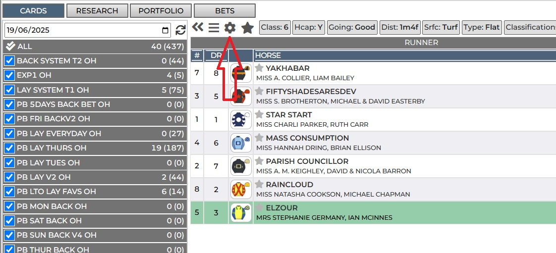horse race data horse race data