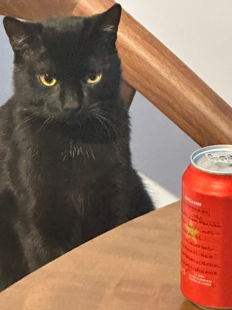 A black cat sitting on a chair next to a can of soda

AI-generated content may be incorrect.