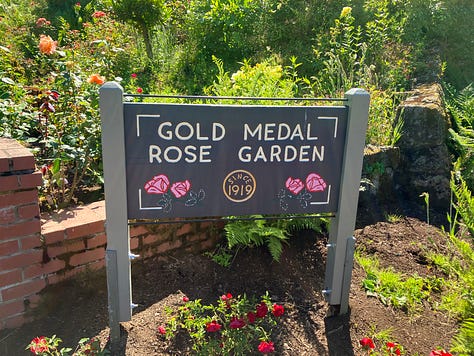 Roses and highlights from the International Rose Garden in Portland, Oregon