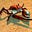 Crustycrustacean's avatar