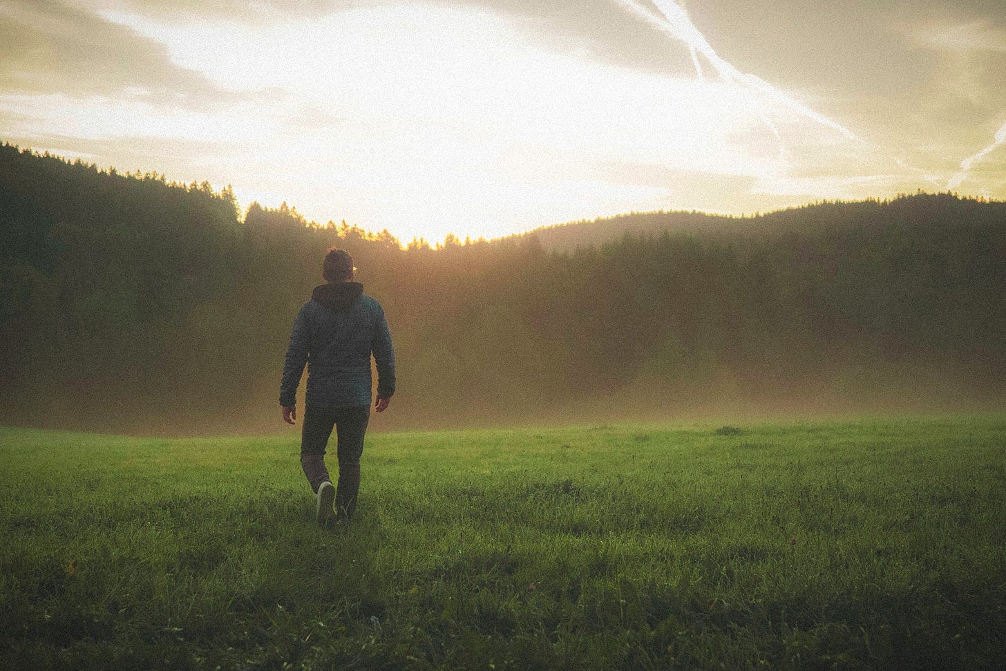 person walking in a field during sunrise in the forest