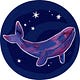 Space Whale Sojourns