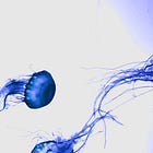 This took me way too long to learn in my cross-cultural relationship.