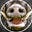 dirtboar's avatar