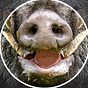dirtboar's avatar