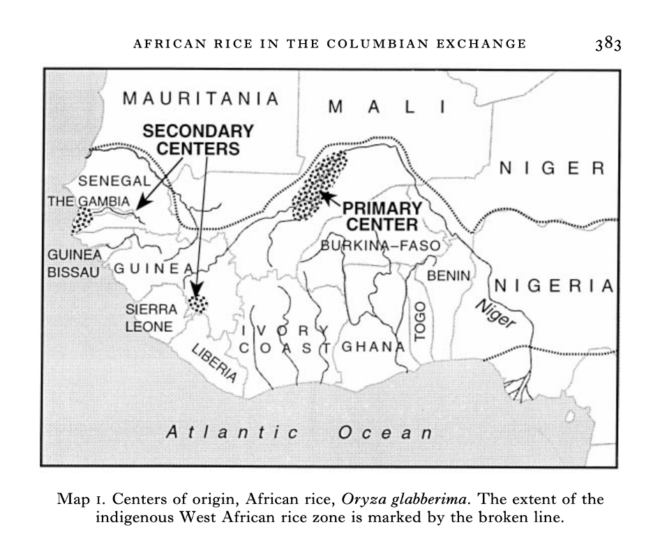 The African Rice you have never heard about - by Afia