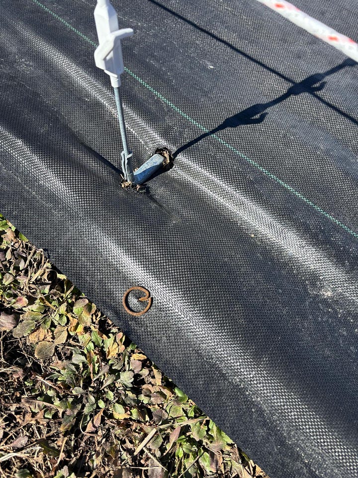 Corner T-Posts and Step-In Spring Steel Support Posts