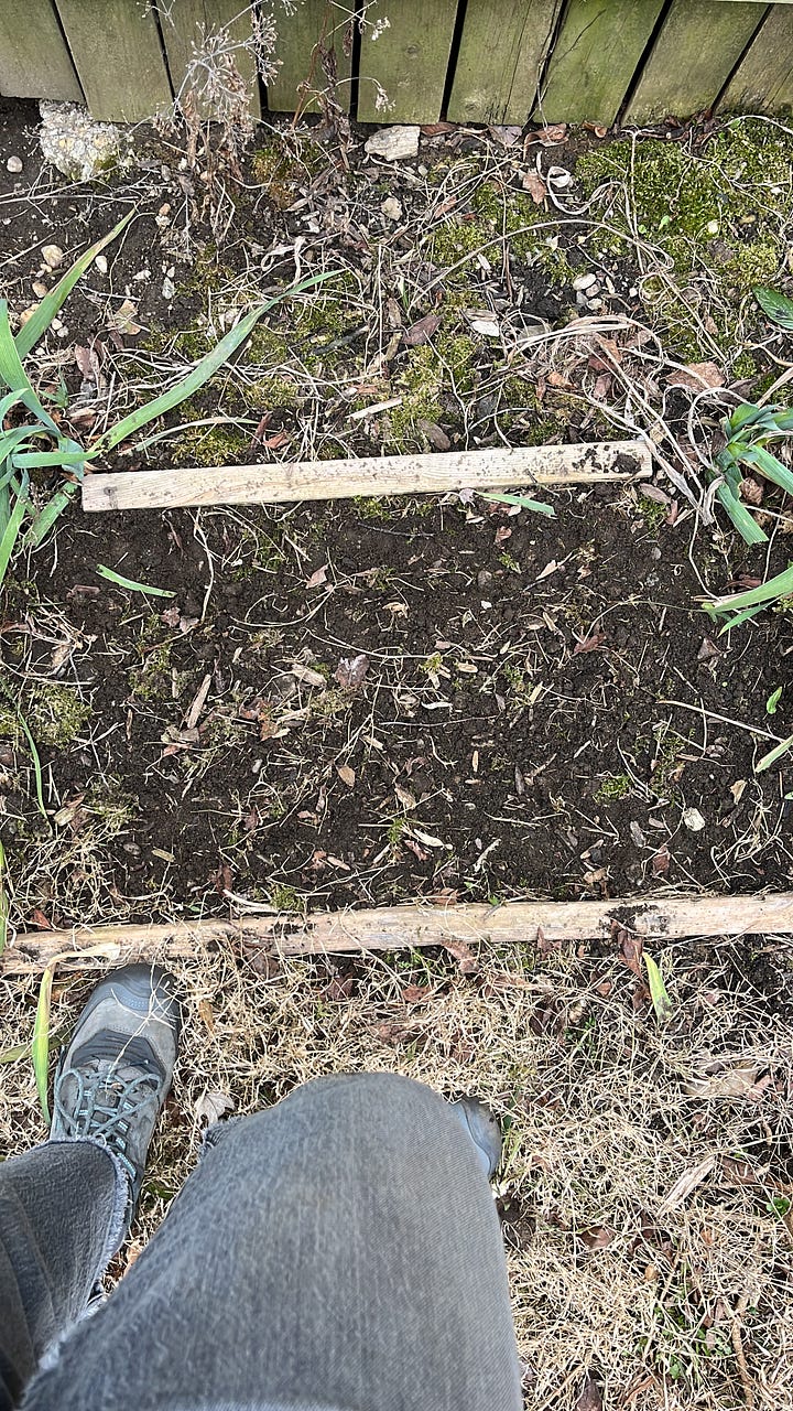 a gloved hand holds two dirt-speckled carrots. A wheelbarrow sits before a three-section compost bin. A person's shoe stands before a rectangle of black dirt. A wheelbarrow holds a pile of freshly-cut fig prunings.