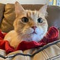 SonjaMovieMinute's avatar
