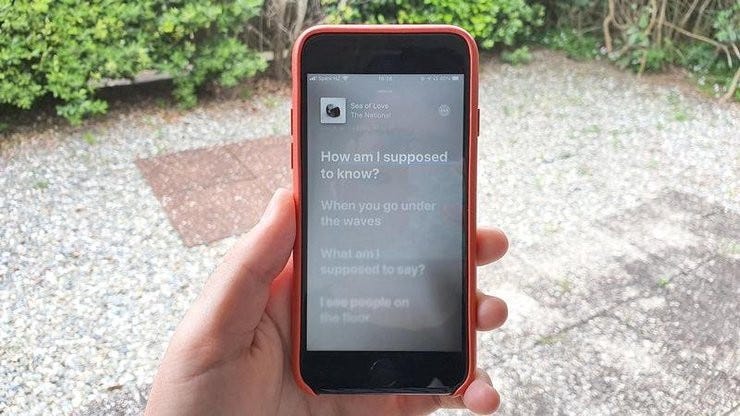 How to view lyrics on apple music thumb800