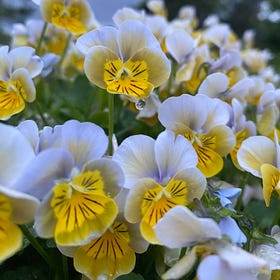 I Feel Like God is Breadcrumbing Me