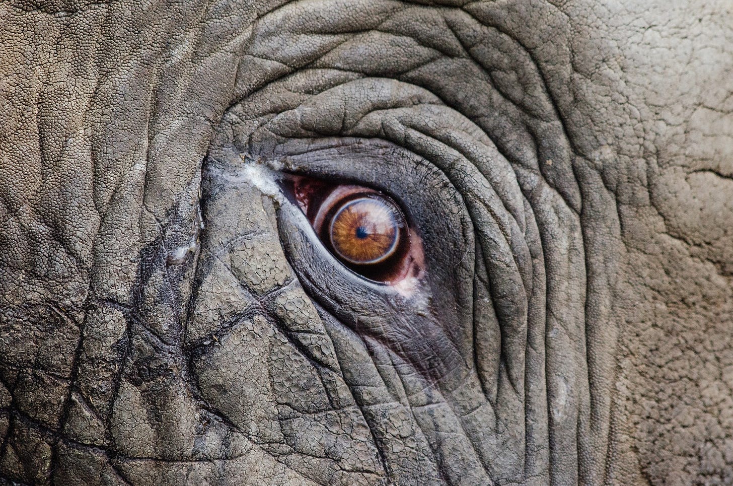 Photo: Pexels, Pixabay
