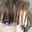 Aimee Chamernik's avatar