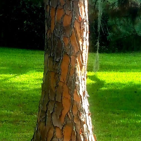 I Am Here For It, Whatever It Is