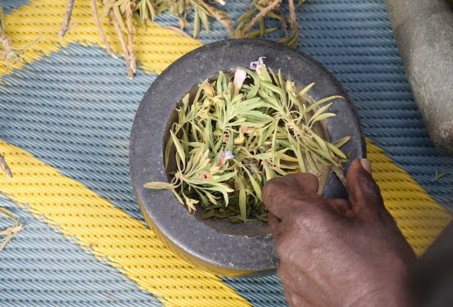 Emma Haskins -ABC Alice Emma Haskins -ABC Alice