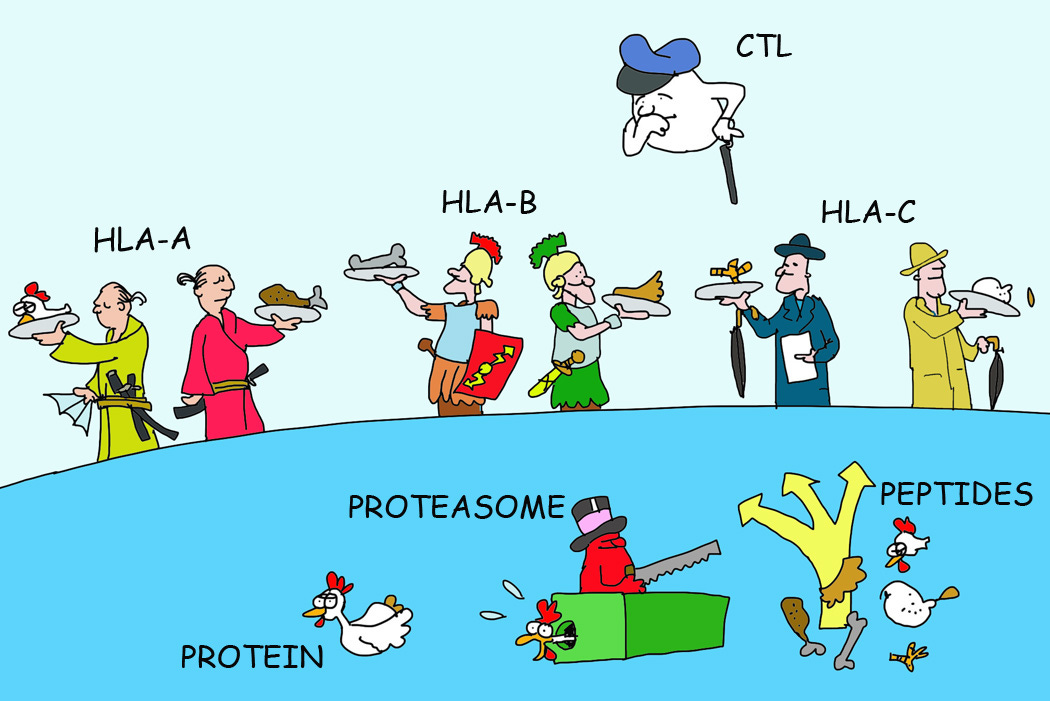An external file that holds a picture, illustration, etc.
Object name is nihms815488f1.jpg An external file that holds a picture, illustration, etc.
Object name is nihms815488f1.jpg