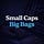 Small Caps. Big Bags.
