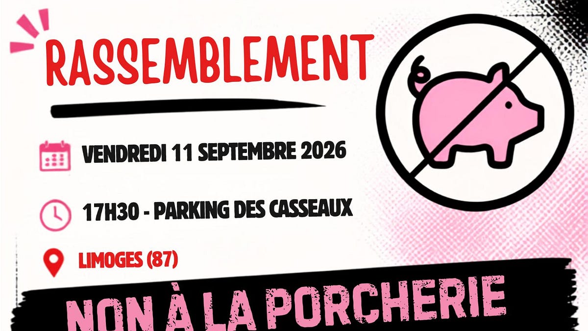 RASSEMBLEMENT du 11 SEPTEMBRE