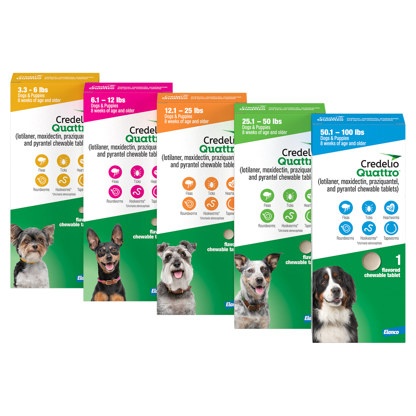 Credelio Quattro™: The Broadest Parasite Protection for Dogs Credelio Quattro™: The Broadest Parasite Protection for Dogs
