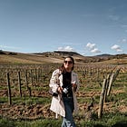 A Wine Trip to Southern Burgundy