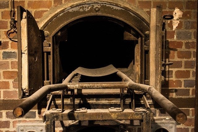 Holocaust, Gas Chambers, Ovens