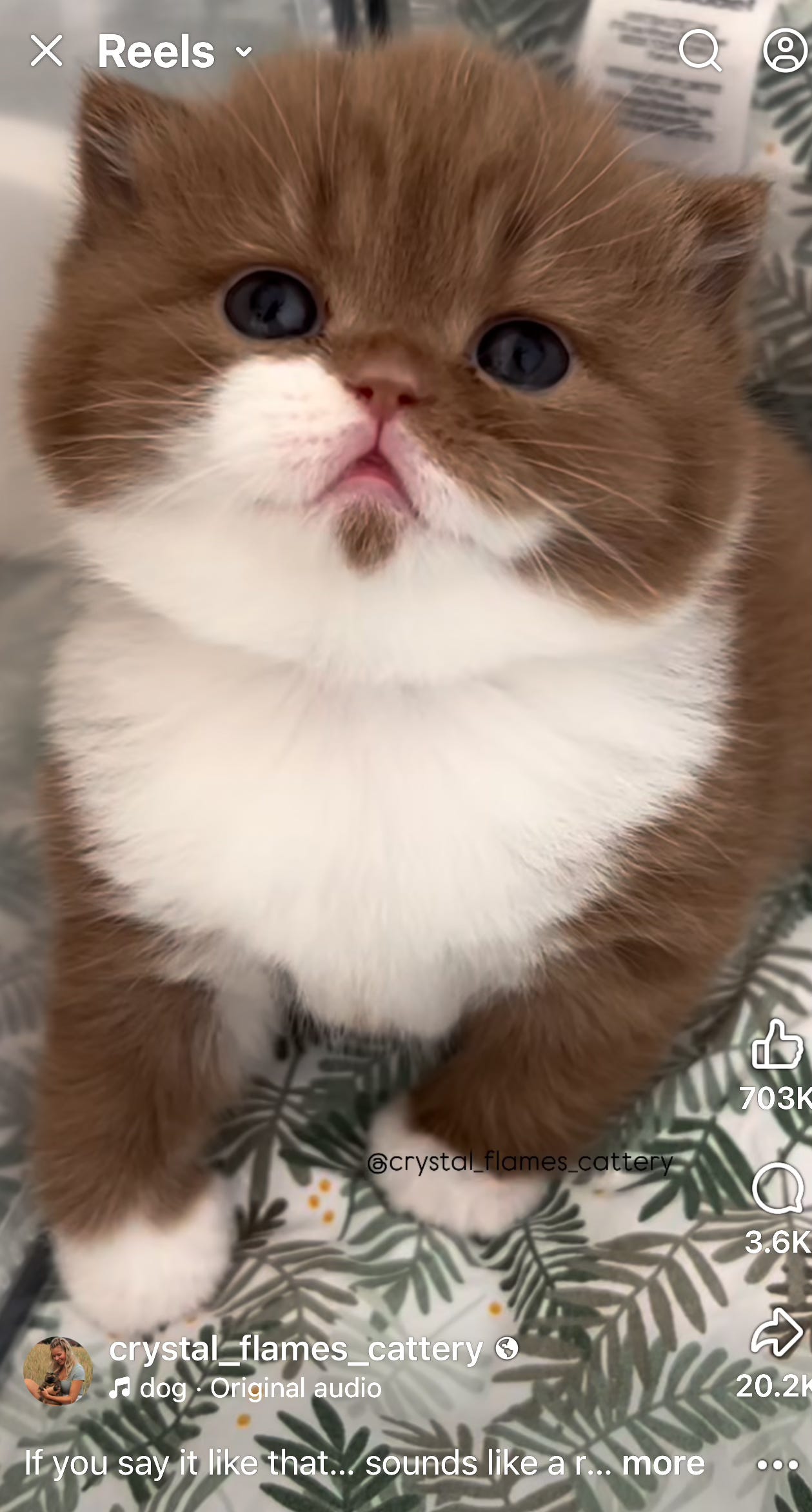 Image.heic Image.heic