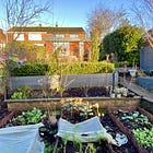 Creating a food forest