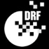 The Digital Rights Foundation logo
