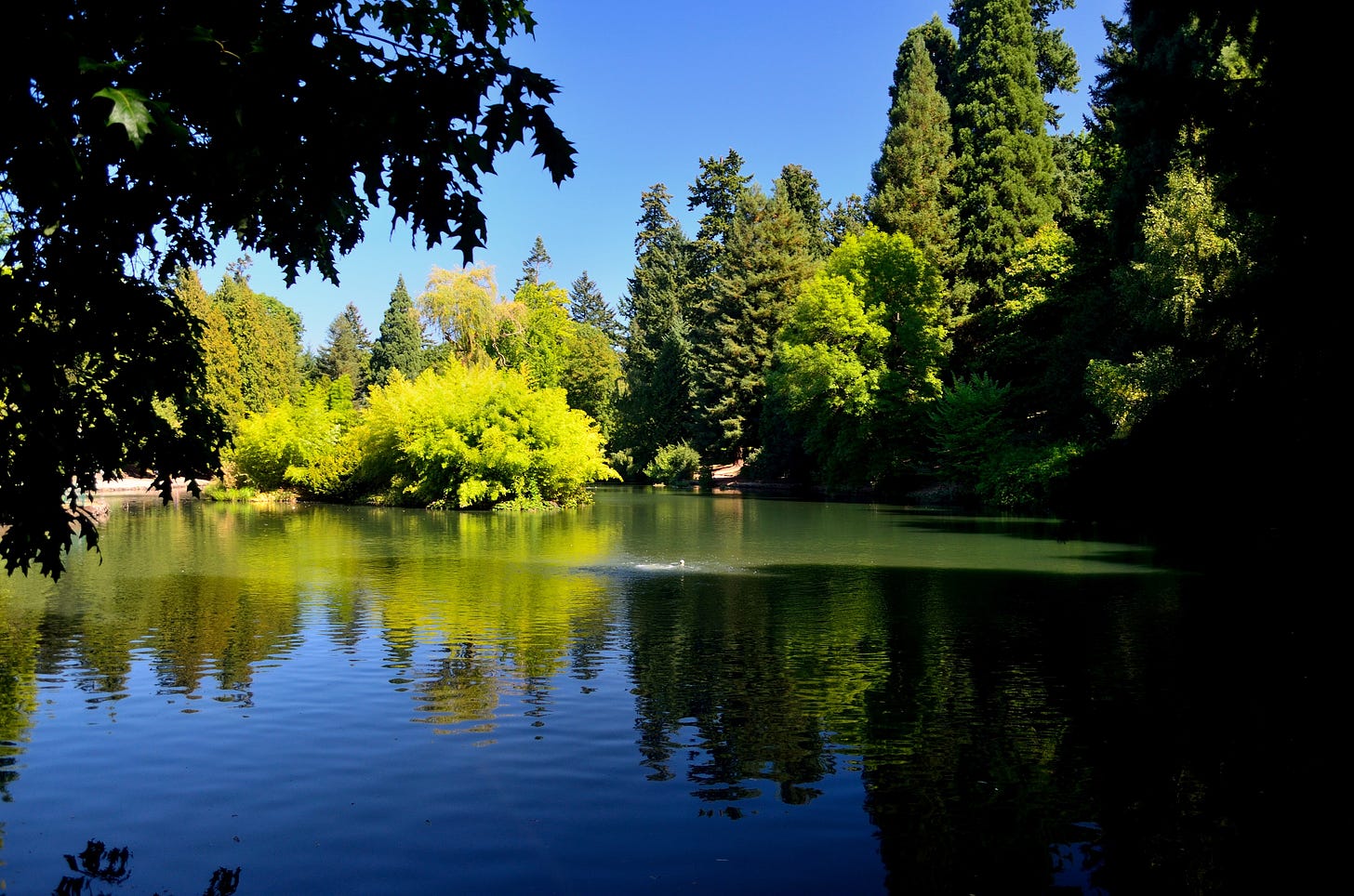 a lake
